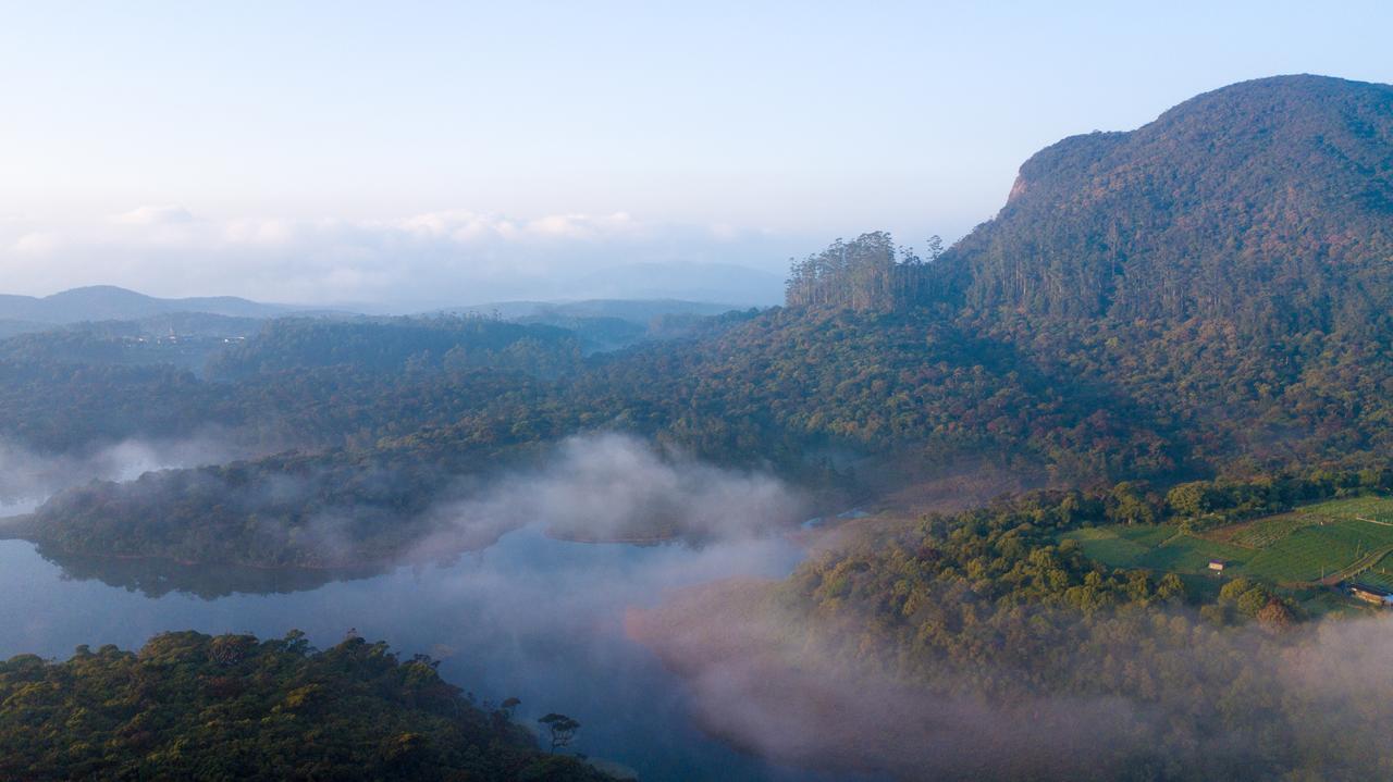 The Forest And Lake By Schofieldshire Nuwara Eliya Bagian luar foto